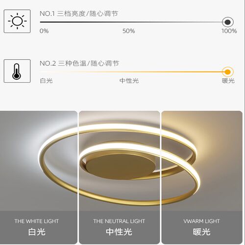 LED北欧满天星圆圈吸顶灯网红个性简约现代大气卧室灯餐厅灯吊灯