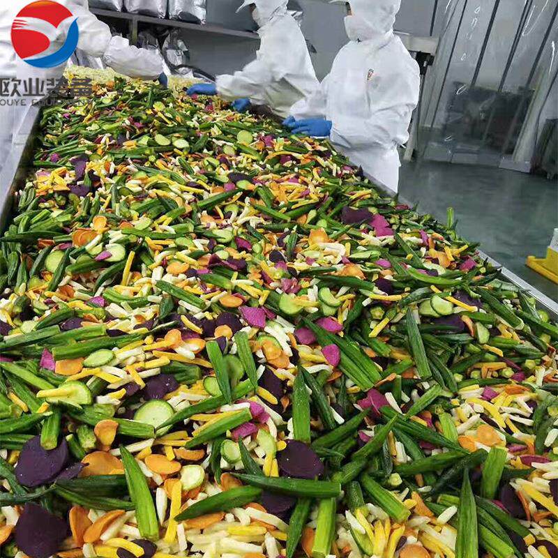 河南核桃仁真空油炸机 干果食品加工设备 山野菜真空低温油炸机