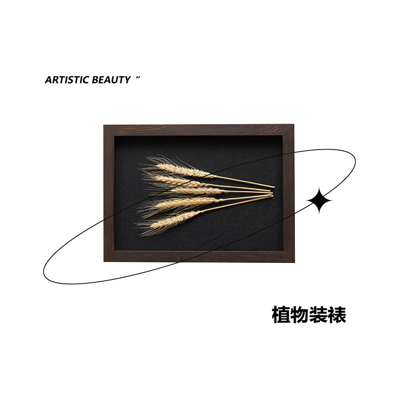 厂家定制中空立体物品框实木相框挂墙摆台胡桃木柚木装裱陶瓷植物