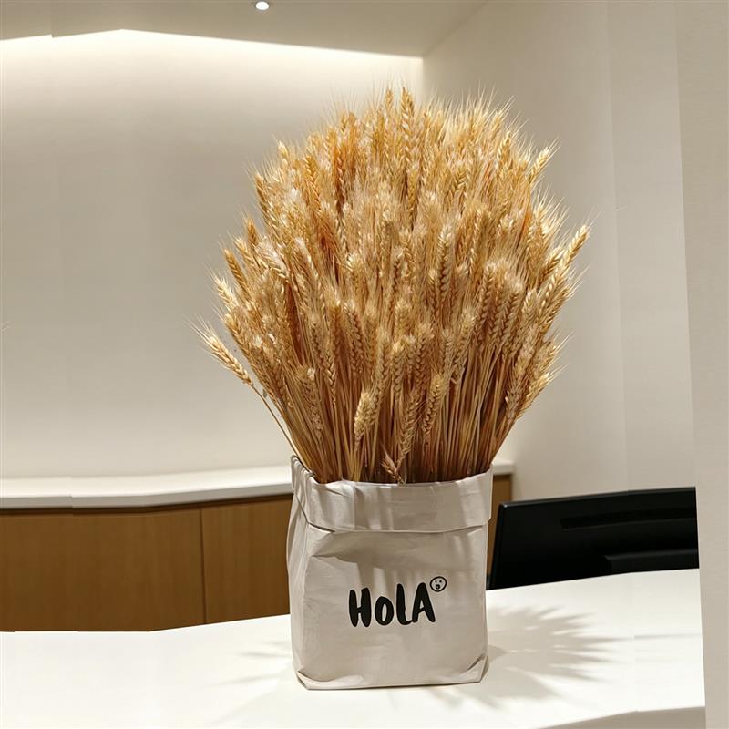开业花篮天然大麦北欧ins风干花束森系装饰摆件乔迁开工礼物成品