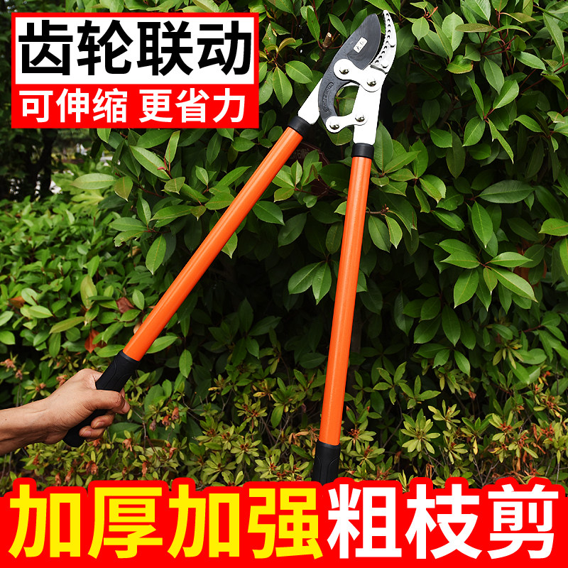 大力剪粗枝剪刀强力剪子伸缩修枝小型家用园林绿化果树树枝压力剪