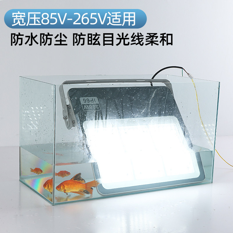 LED投光灯户外防水广场球场车间照明灯宽压110V220V大功率投射灯
