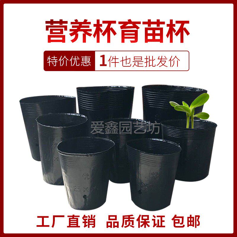 营养钵一次性黑色育苗盆抗老化塑料营养盆育苗育苗袋营养杯育苗杯