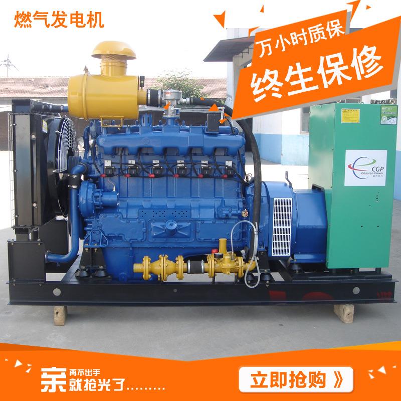 小型 家用天然阿伯丁气发组电厂机50千瓦燃气发电机组50kw 家直供