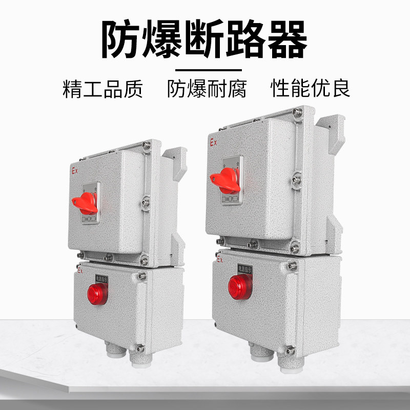 BDZ防爆断路器2P3P4P20A32A漏电防爆开关箱220V380V空开控制箱