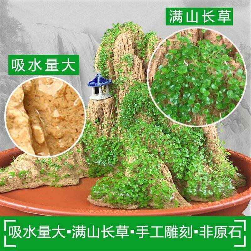 吸水石盆景上水石摆件鱼缸假山流水造景室内微景观奇石客厅观赏石