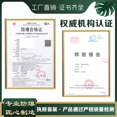 防爆断路器空开关断路器漏电保护380V3P防爆空气开关32A63A控制箱