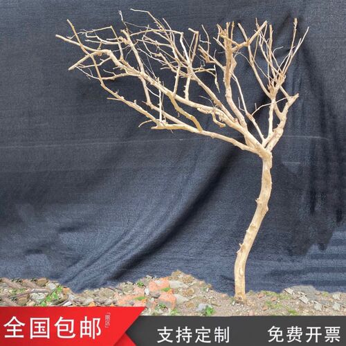 干树枝许愿树仿真树原木树枝装饰树天然树去皮树枝造型树庭院枯树