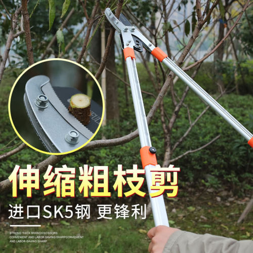 高枝剪果树大剪刀伸缩大力粗枝修枝剪树枝绿化花园强力剪刀园林艺