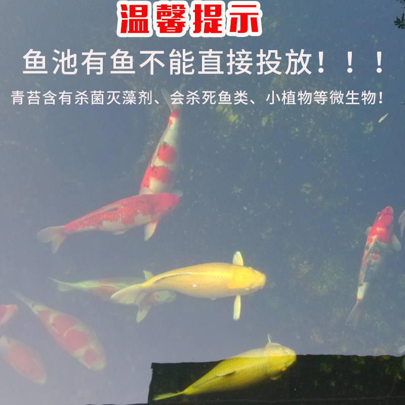 青苔去除剂苔藓水泥地面霉清除片水池除藻冷却塔500片杀菌灭藻剂