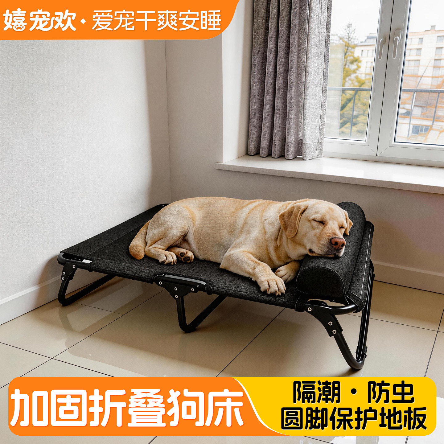 狗狗折叠行军床四季通用离地躺椅