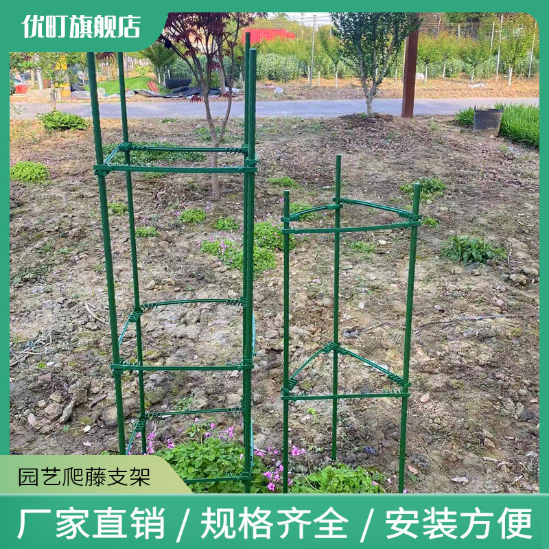 花架庭院爬藤架子花支架植物包塑钢管厚葡萄架