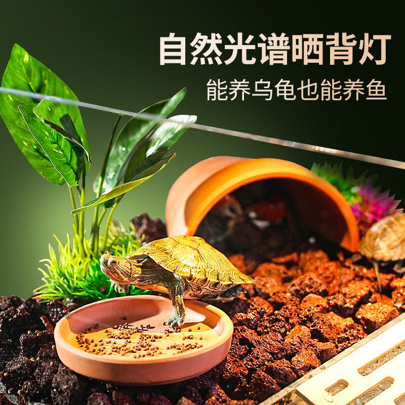 乌龟缸超白玻璃家用双区生态造景防逃黄缘龟饲养箱混养缸生态龟缸