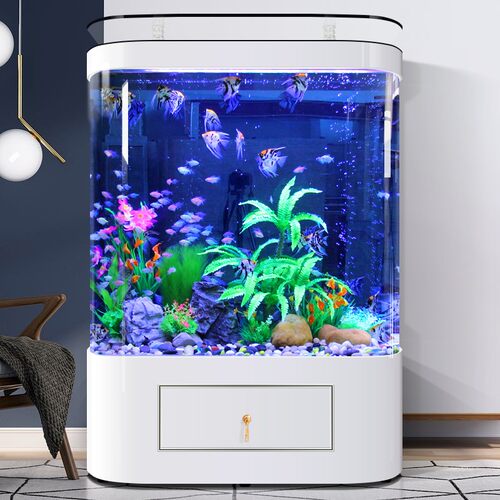 新款客厅家用鱼缸半圆柱形靠墙落地立式生态中大型免换水族箱