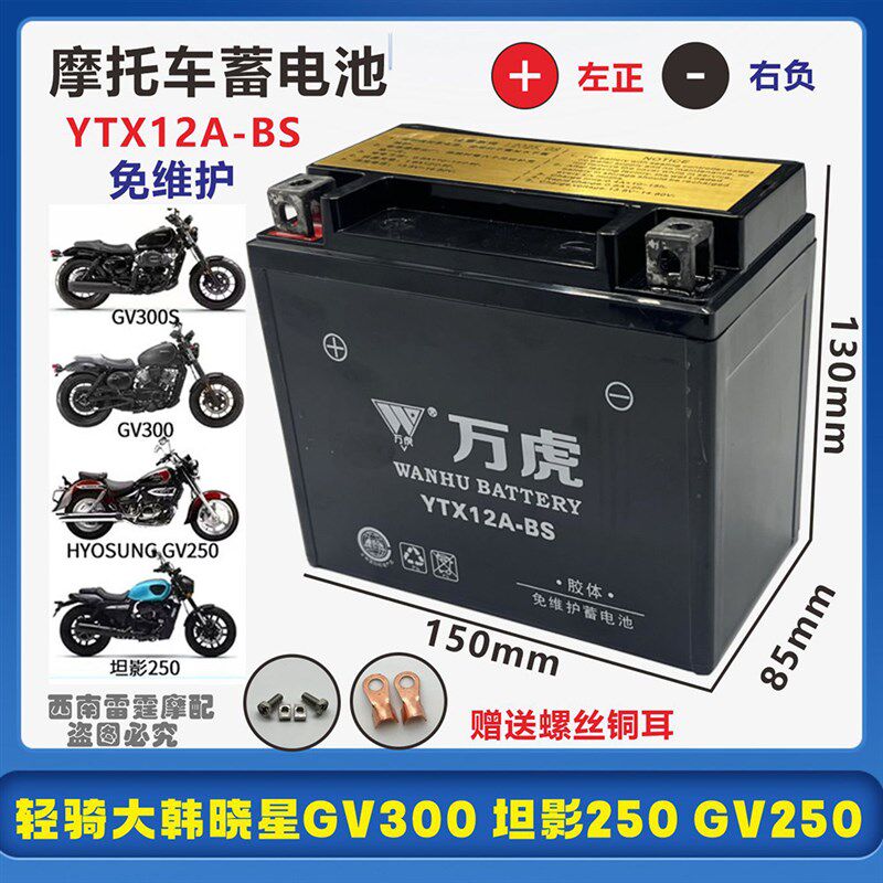 适用轻骑大韩晓星GV300 GV300S GV250 坦影250摩托车电瓶12V电池图片