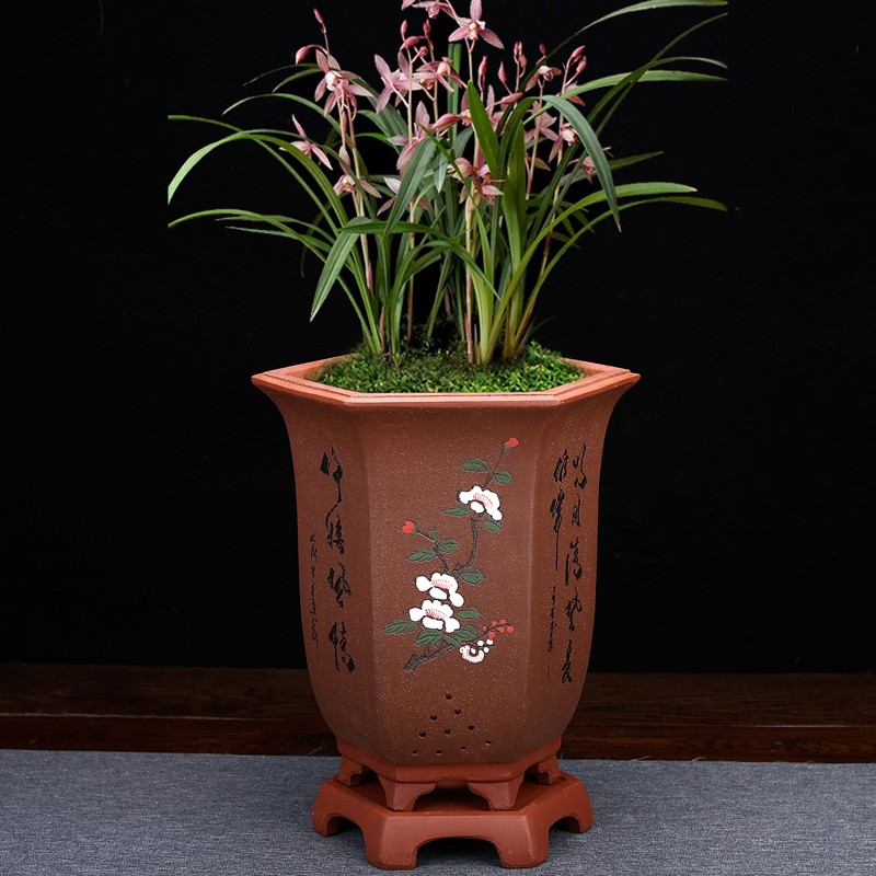 紫砂兰花盆专用盆手工点彩精品大号六方君子兰蕙兰桌面古典中国风