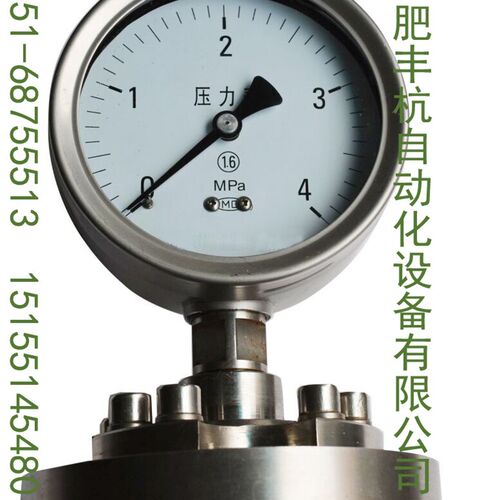 不锈钢法兰式隔膜压力表