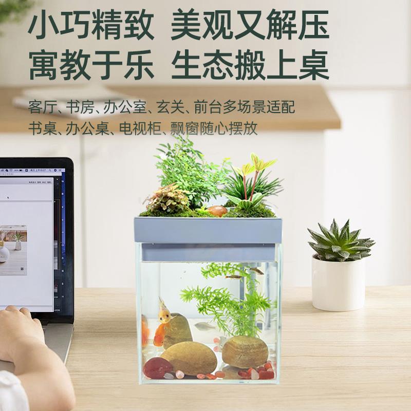 上部沼泽过滤斗鱼缸桌面生态自循环办公桌书桌水培植物造景小鱼缸