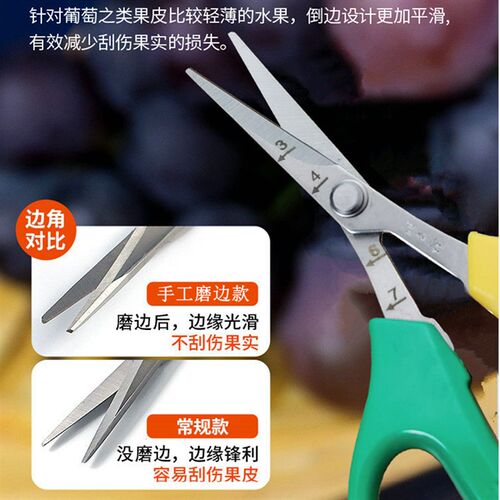 汪吾铨不锈钢翘头园艺剪刀葡萄蔬果稀果花艺树枝花椒采果橘子采摘