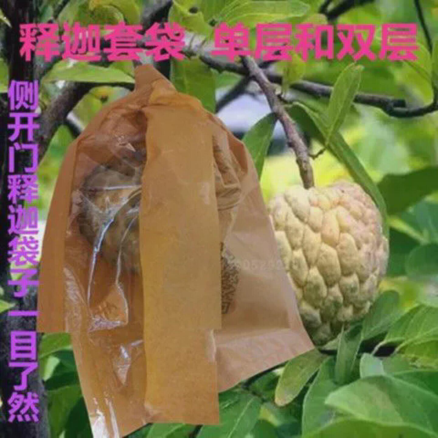 葡萄专用套袋红美人释迦葡萄水蓊莲雾套袋洋蒲杨桃橘桔子西红柿枇