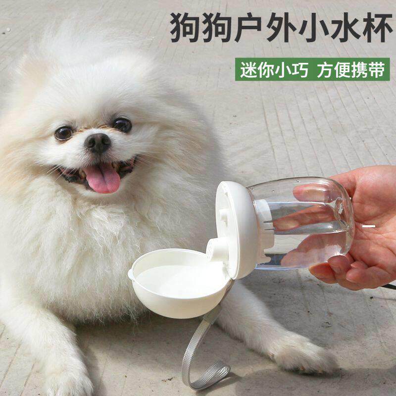 宠物狗狗外出水杯迷你水壶柯基出门户外喝水用品可携式饮水器随行