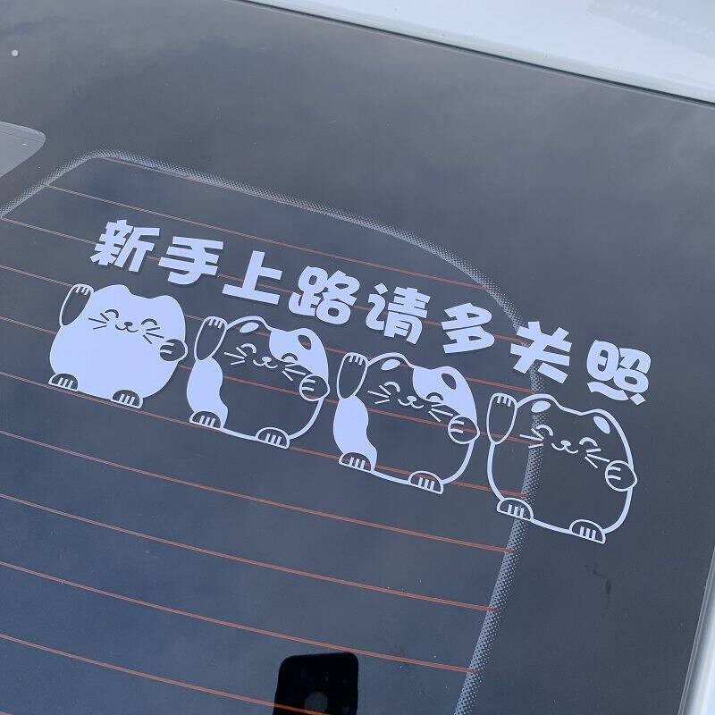 新手上路车贴个性创意实习标志女司机车尾贴后挡玻璃新手上路标