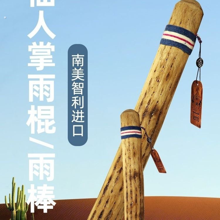 徳瑞雨棒仙人掌雨棍仿下雨声音疗愈瑜伽灵修民族乐器雨棍助眠新款
