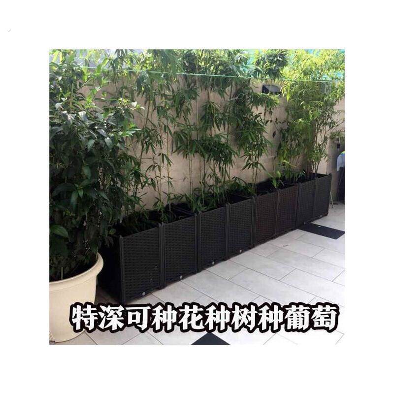 种竹子的专用盆阳台种菜盆家庭特大长条蔬菜种植箱长方果树葡萄