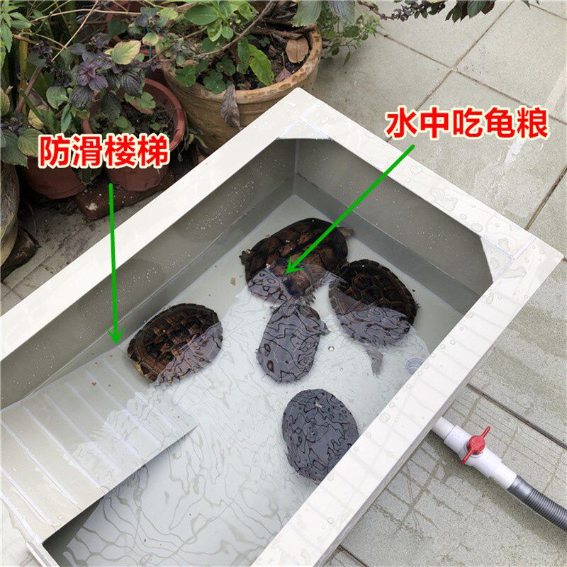 大型种龟箱乌龟别墅pp塑料龟池养龟池阳台家用乌龟缸带晒台养殖箱