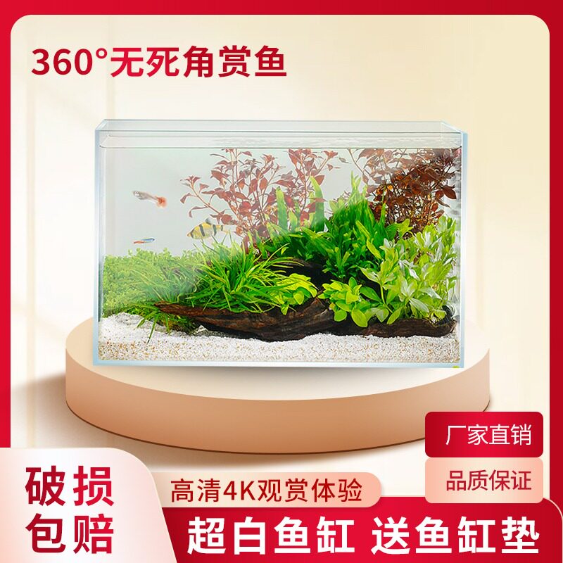 超白玻璃小鱼缸小型客厅观赏小鱼造景水培植物乌龟家用方缸生态缸
