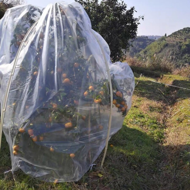 冬防冻保温膜袋植物防寒罩加厚树木防寒防冻罩塑料薄膜花卉绿植