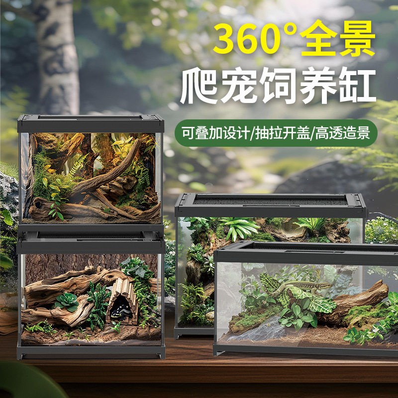 玻璃爬宠饲养箱睫角爬箱守宫鬃狮蜥造景蛇超大守宫蜥蜴角蛙饲养缸