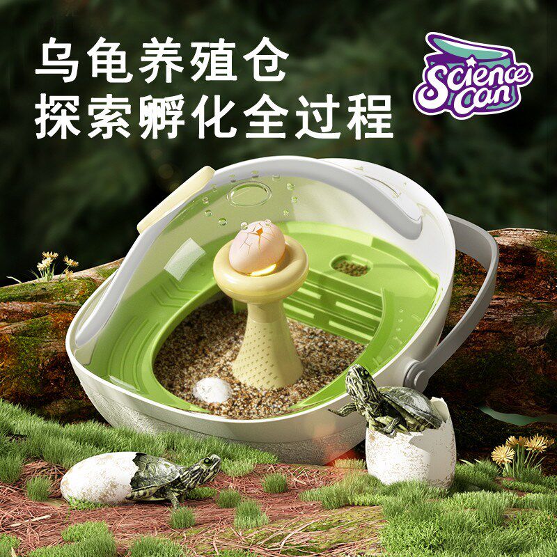 乌龟蛋可孵化套装成长仓活物爬晒台专用小乌龟缸宠物饲养箱孵化盒