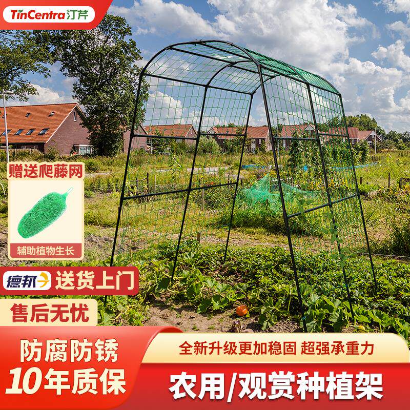 南瓜爬藤架植物丝瓜葡萄架攀爬架菜园庭院户外园艺爬藤拱门花架