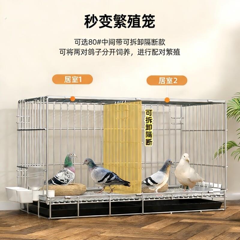 养鸽子专用笼白鸽养殖笼配对笼折叠铁笼子加粗加固家用大号特大号