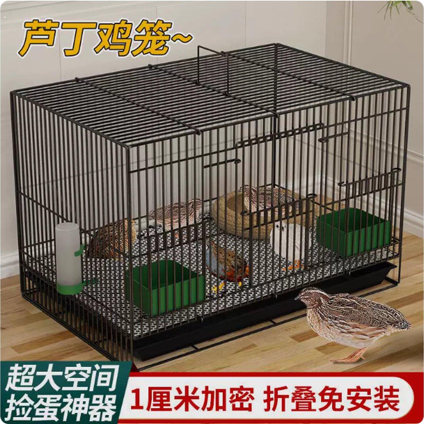 芦丁鸡专用养殖笼子家用加密大号芦丁鸡铁丝笼小鸡小鸭子鹌鹑鸟笼