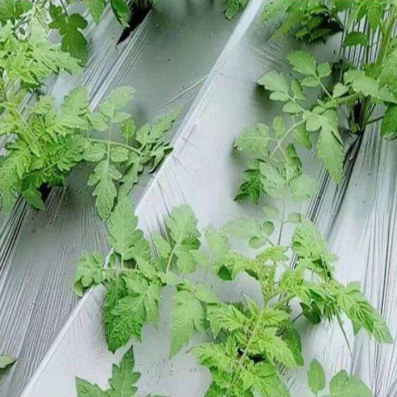银黑地膜黑白农用种植种菜薄膜白膜加厚双色黑膜除草布除草地膜