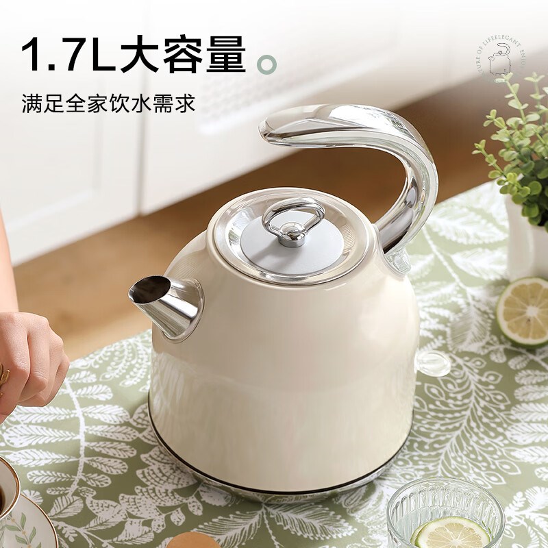 德世朗复古电热水壶304不锈钢家用电水壶防锈大容量高颜值烧水壶