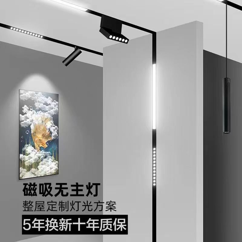 2024智能磁吸轨道灯嵌入式暗装客厅无主灯照明调光明装变光线条灯