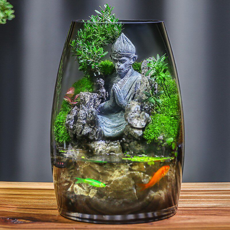 【顺丰包邮】养鱼缸真植物苔藓微景观生态瓶办公室
