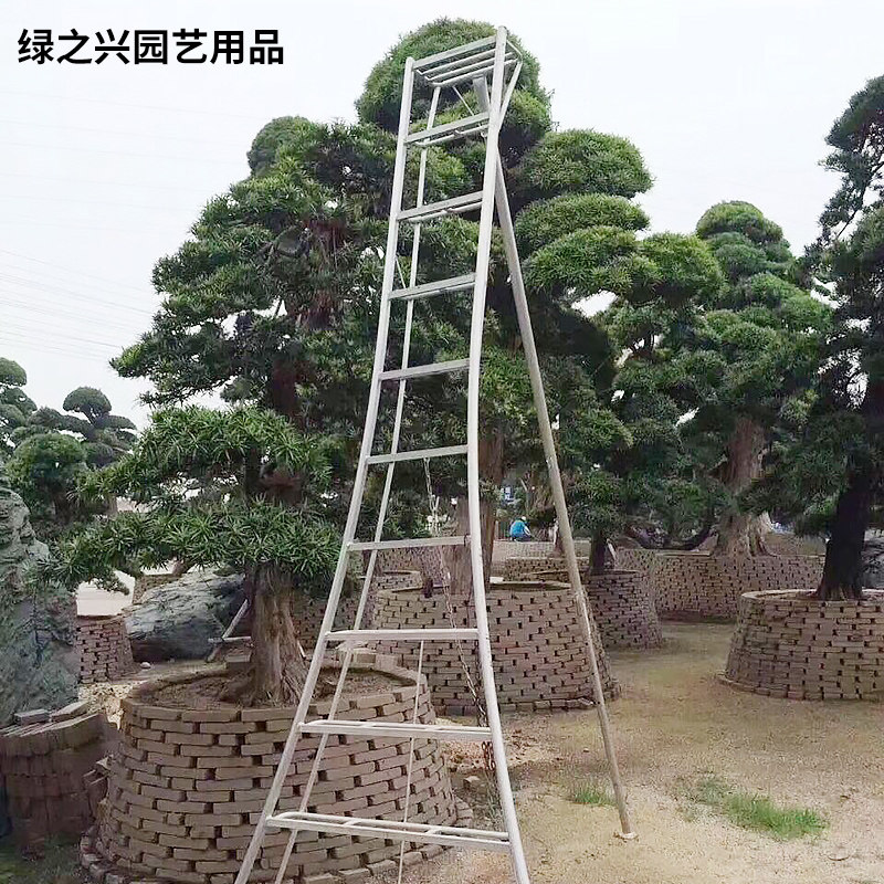 罗汉松造型绿化多功能三脚梯五步梯安全梯园林三角梯厚铝合金梯子