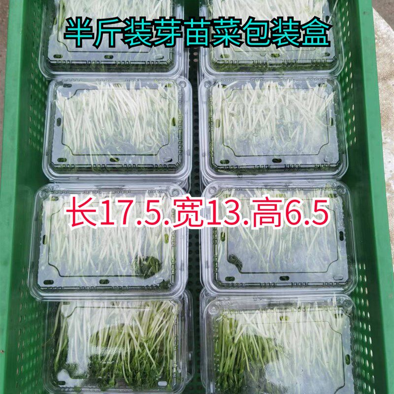 豆芽豆苗水培芽苗菜豌豆苗一次性塑料种植盒带盖育苗盘打包盒