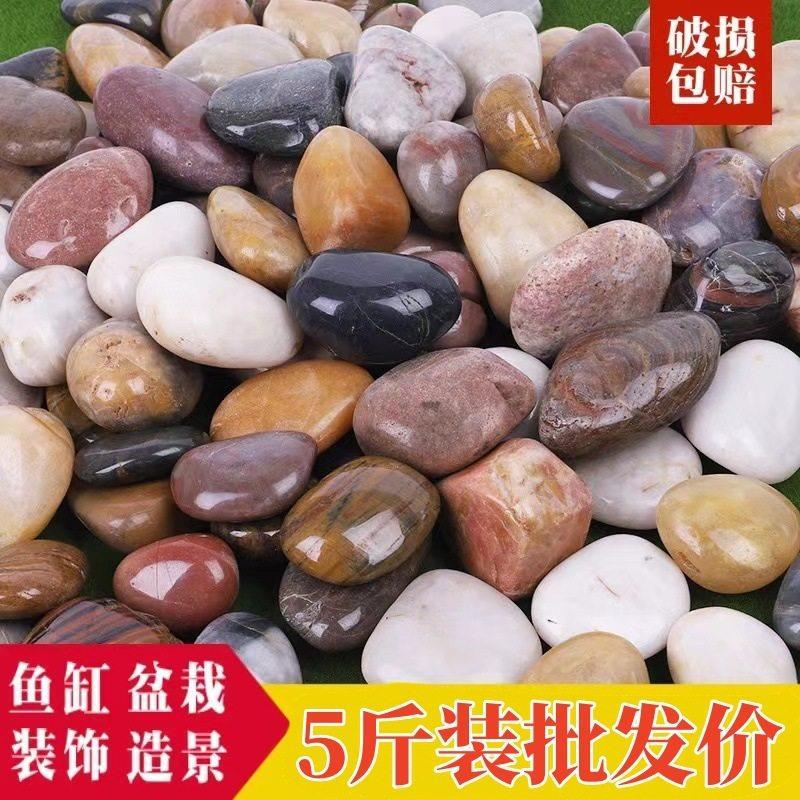 鹅卵石养花雨花石天然原石鱼缸花盆鹅软石庭院装饰园艺五彩小石头