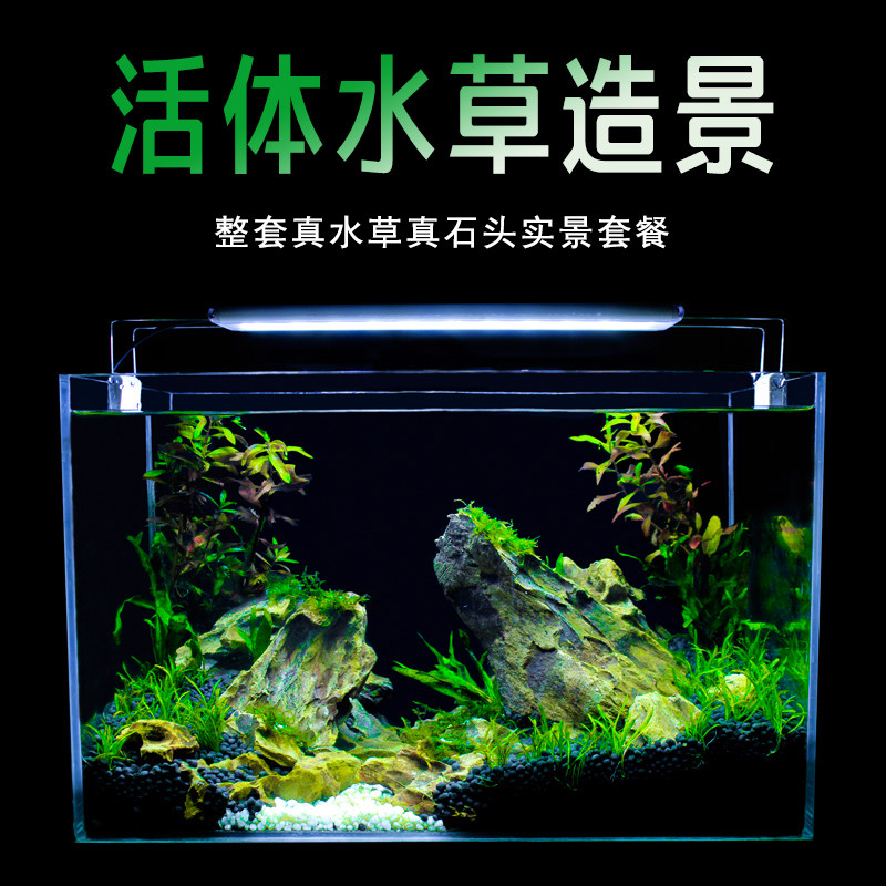真水草鱼缸水族箱小型客厅办公室桌面家用生态草缸装饰布造景套餐