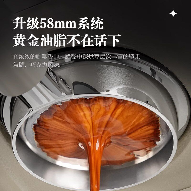 柏翠PE3833海盐小方Pro浓缩意式咖啡机小型家用全半自动一体商用
