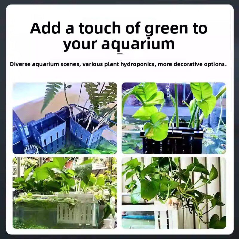 古鱼缸水培种植篮壁挂式水生植物箱深化大周转箱园林绿化植物根系
