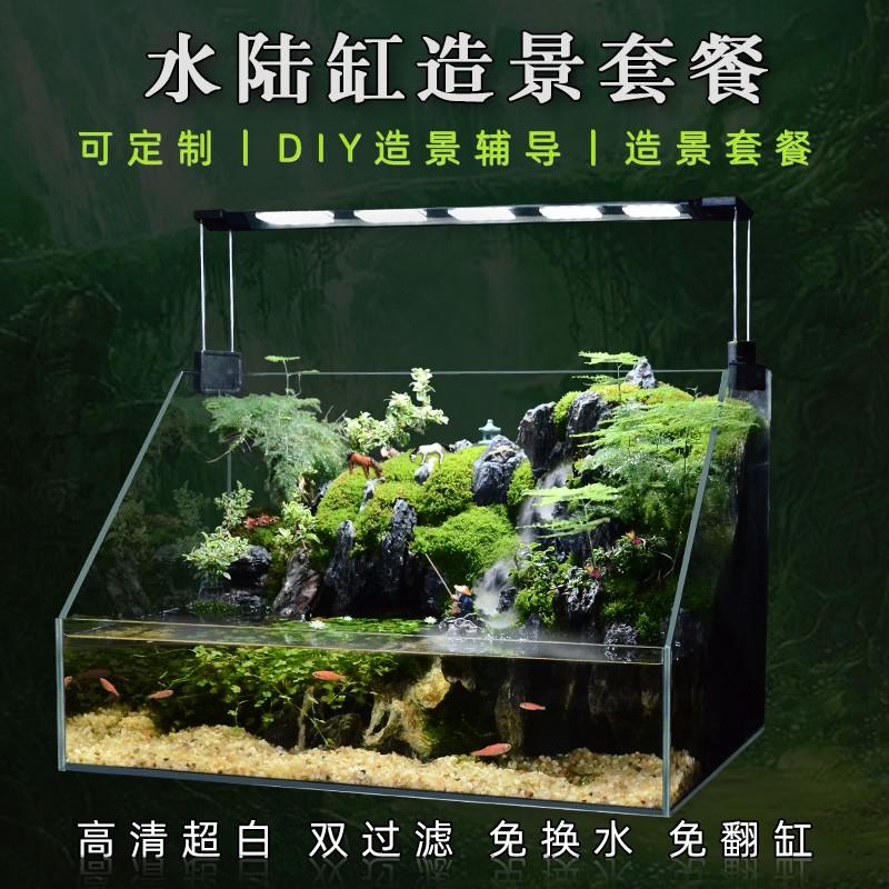 水陆两栖造景超白缸雨林套餐材料生态超白植物水草微景观鱼缸生态