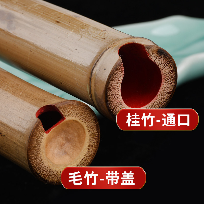 桂竹南箫专业演奏一节南萧 8孔初学洞萧笛6孔GF调大头竹根潇乐器