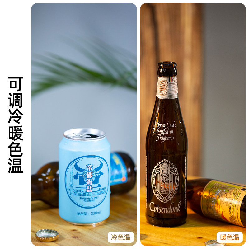 斯丹德LED摄影灯520 双色温影棚补光灯 迷你便携打光灯520型号 斯