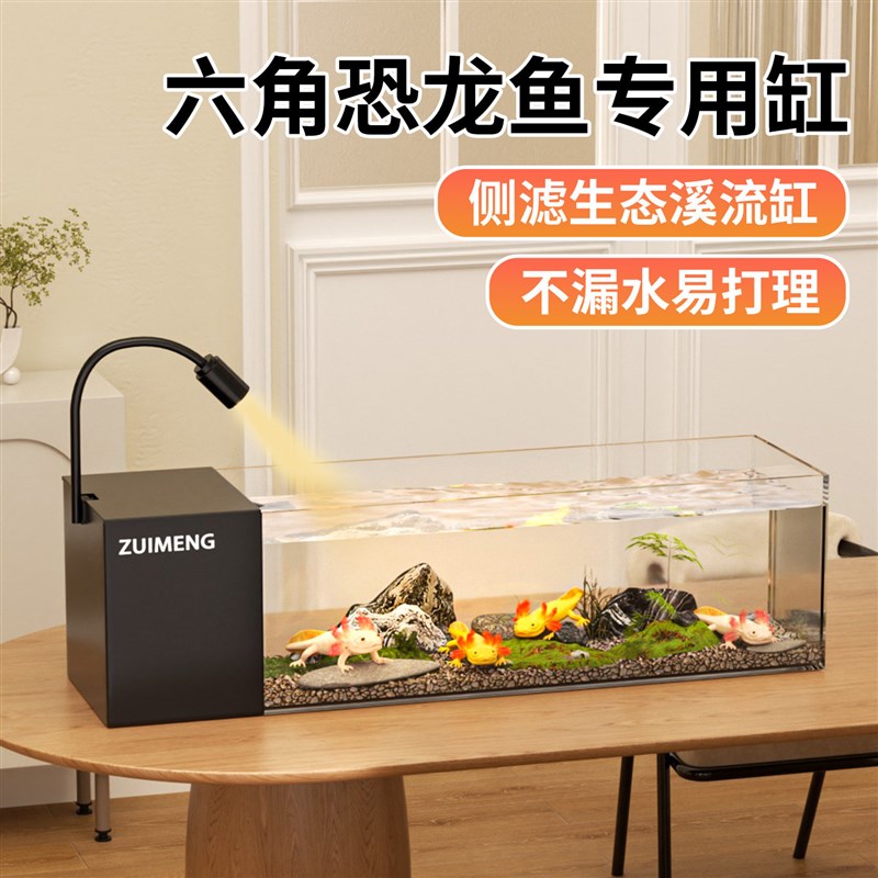 鱼缸六角恐龙鱼专用缸桌面造景蝾螈饲养缸一体成型溪流缸侧滤鱼缸